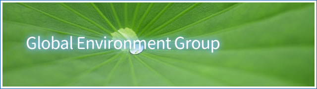 Global Environment Group