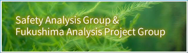 Safety Analysis Group & Fukushima Analysis Project Group