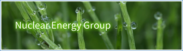 Nuclear Energy Group
